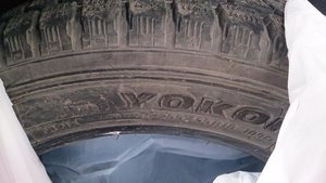 DSC_0058.jpg
