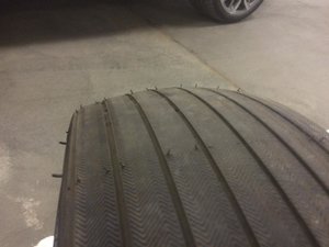 IMG_7275.jpg
