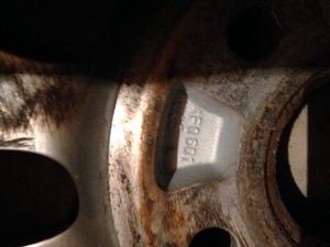 IMG_0585.jpg