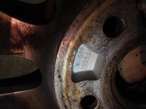 IMG_0587.jpg