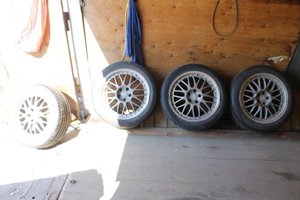 IMG_3539.jpg
