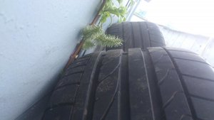 DSC_2114.jpg