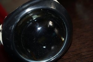 DSC08992.jpg