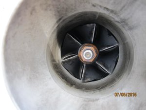 IMG_8395.jpg