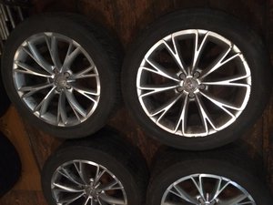 IMG_3674[1].jpg