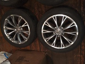 IMG_3675[1].jpg