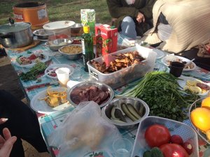 ImageUploadedByTapatalk1431177219.280918.jpg