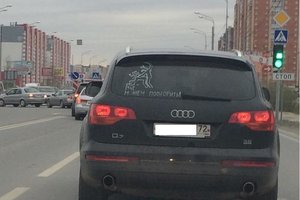опс.jpg