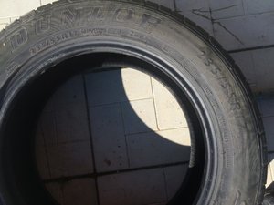 IMG_4040.jpg