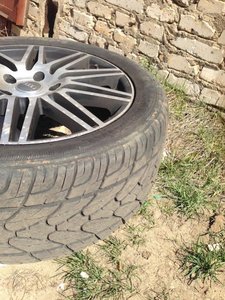 IMG_2405.jpg