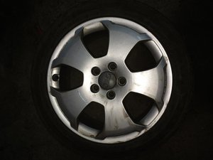 IMG_1169.jpg