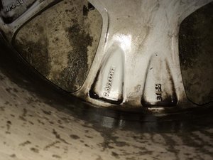 IMG_1170.jpg