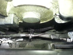 20150524_102427.jpg