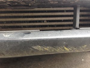 IMG_3759.jpeg