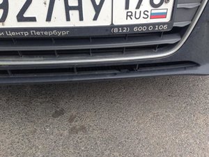 IMG_3760.jpeg