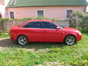 IMG_0769.jpg