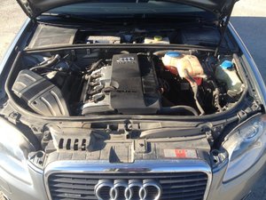 IMG_0830.jpg