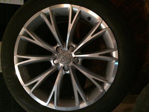 IMG_3733[1].jpg