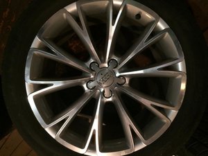 IMG_3735[1].jpg