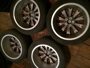 IMG_3737[1].jpg