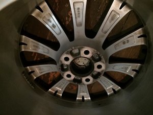 IMG_3742[1].jpg