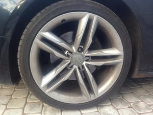 IMG_0349.jpg