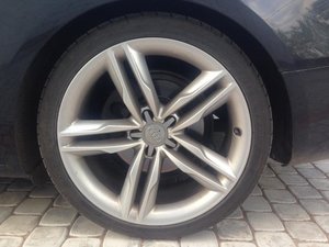 IMG_0350.jpg