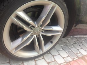 IMG_0351.jpg