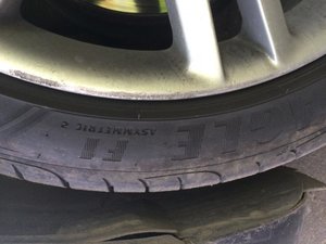 IMG_3783[1].jpg