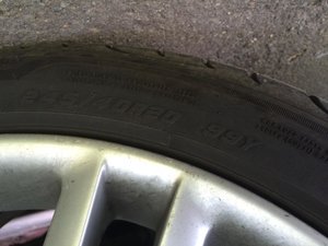 IMG_3784[1].jpg