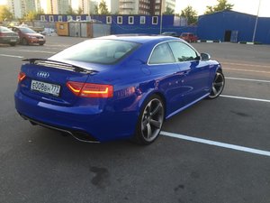 IMG_2131.jpg