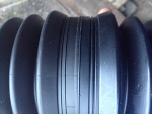 IMG_1063.jpg