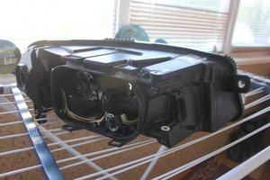IMG_3529.jpg