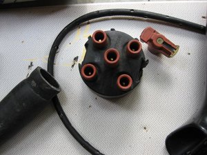 IMG_1276.jpg