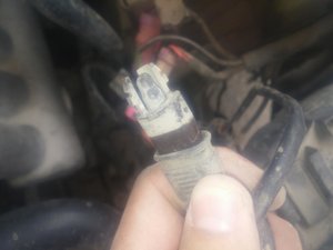 20150617_160932.jpg