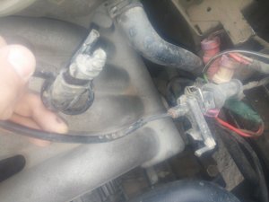 20150617_161013.jpg