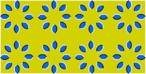 1147603145_000.jpg