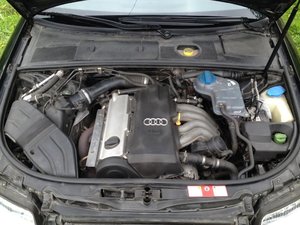 IMG_0436.jpg