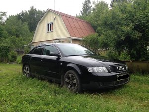 IMG_0427.jpg