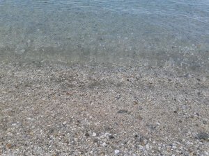 20150620_190956.jpg