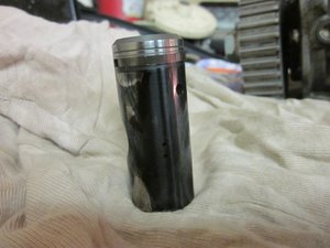 IMG_2424.jpg