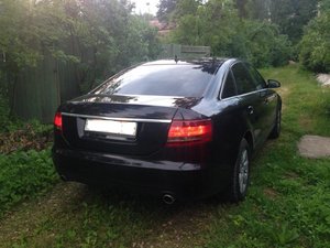 IMG_1075.jpg