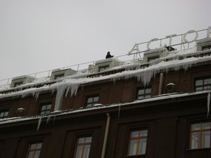 Изображение 110.jpg