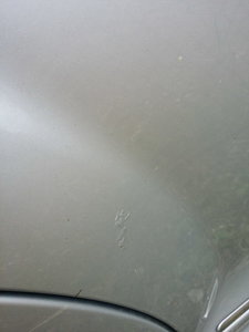 20150707_120033.jpg