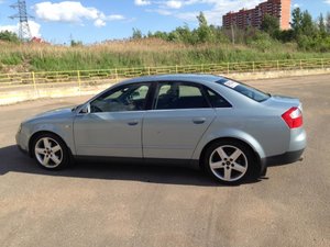 IMG_3768.jpg
