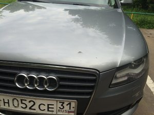 IMG_4705.jpg