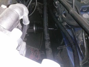 v1lq1GpiG0A.jpg