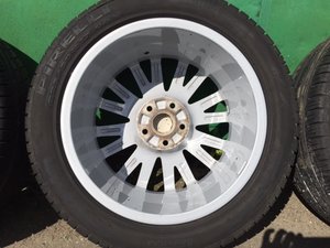 IMG_3377.JPG