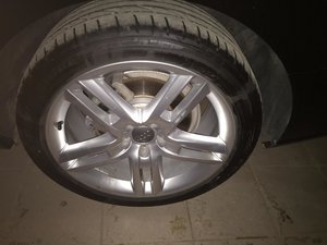 IMG_2124.jpg