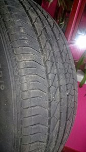 DSC_1223.jpg